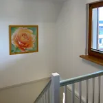 Schwalbennest Apartment
